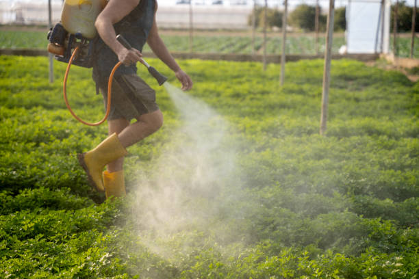 Best Commercial Pest Control Services  in Howard Lake, MN
