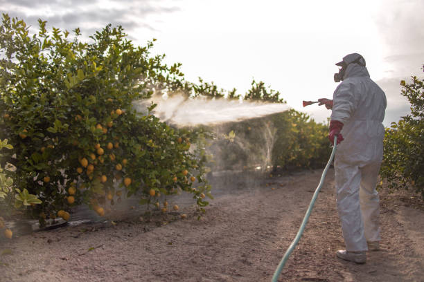 Best Best Pest Control Companies  in Howard Lake, MN