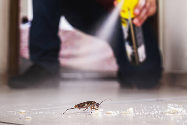 Best Pest Removal Services  in Howard Lake, MN